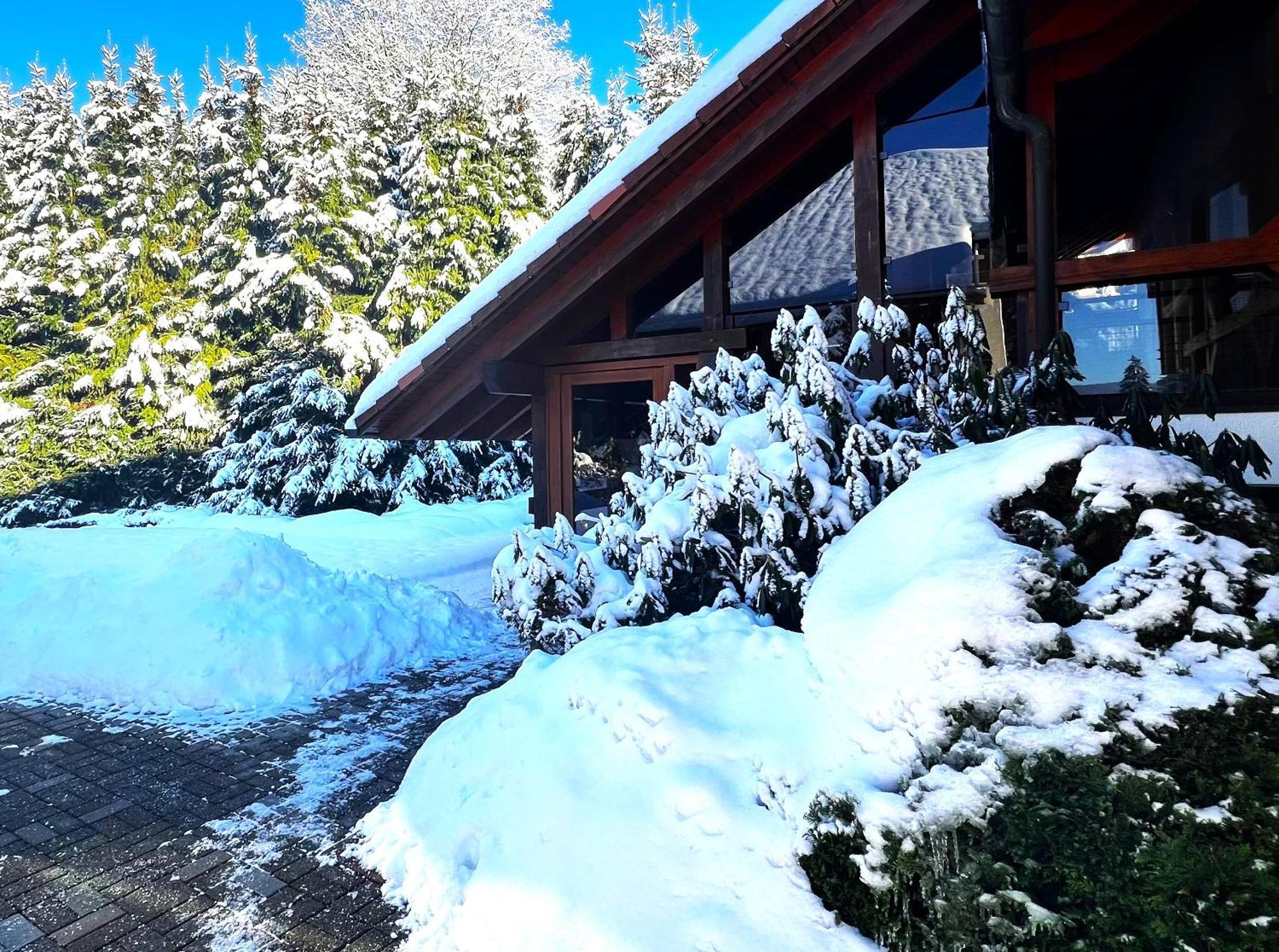 Michels Apartment Titisee-Neustadt Exterior foto